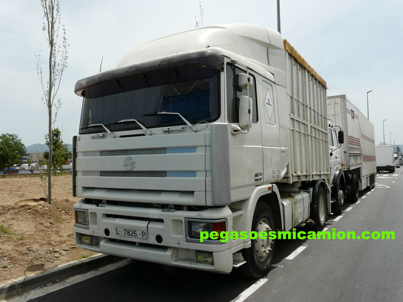 P1110538 copia